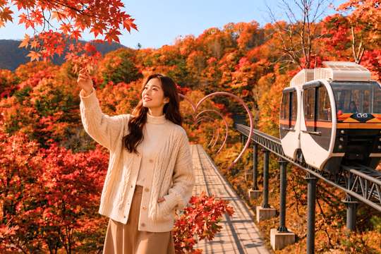 한국의 숨겨진 가을 단풍 명소를 발견하세요! 화담숲 당일치기 여행 / 한국민속촌 + 수원 화성 + 제부도 케이블카 당일치기 여행 | 서울 출발