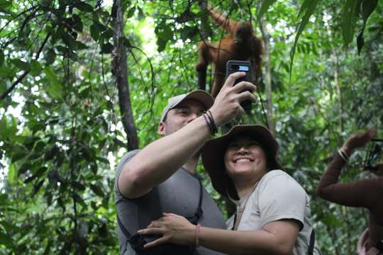 Bukit Lawang Jungle Trekking, Orangutan & River Tubing Tour