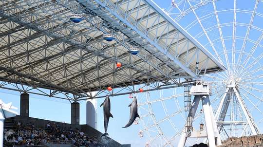 Port of Nagoya Public Aquarium Tickets
