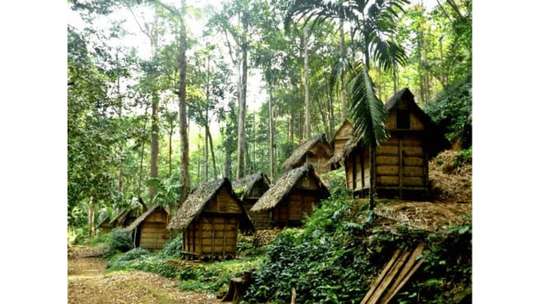 Saba Budaya Baduy – 1 Hari, Rp 350.000