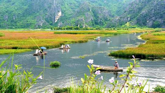 One Day Cuc Phuong National Park - Van Long Wetland Small Group Tour | Vietnam