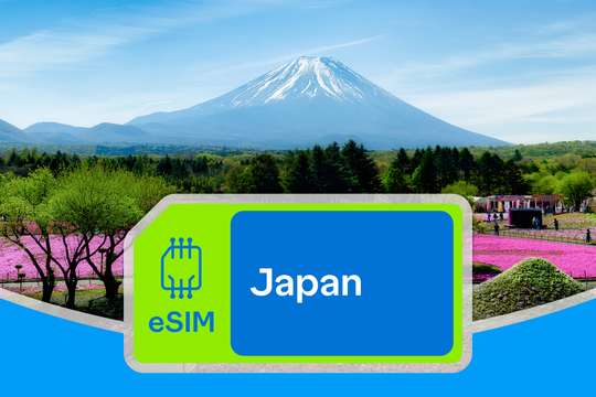 ビリオンコネクトの日本向けイーシム
