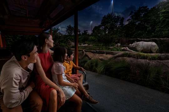 Night Safari Tickets | Mandai Wildlife Reserve, Singapore