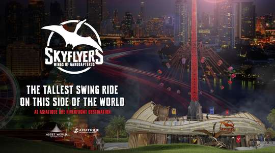 Skyflyers