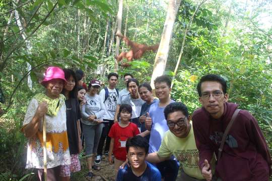 Bukit Lawang 1 Day Tour Jungle Trekking Orangutan by Exnevia Travel, THB 2,499.66