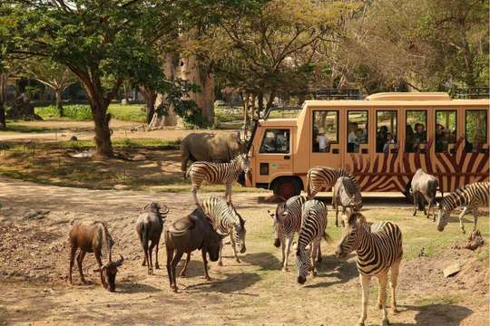 Bali Tour : Bali Safari + Marine Safari Park + Makan di Warung Dapur Alam, Rp 958.520