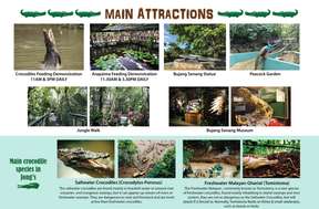 Tiket Tur Peternakan Buaya & Kebun Binatang Jong