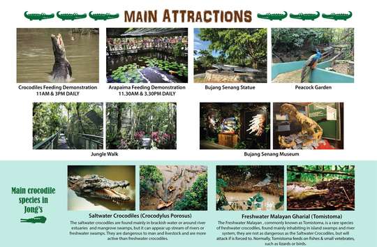 JONG'S CROCODILE FARM & ZOO TOUR