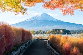 Mount Fuji, Lake Kawaguchi, Gotemba Outlets, Hot Springs & Lawson Tours
