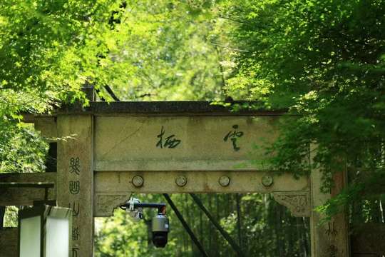 Yunqi Bamboo Path Park Ticket, THB 18.98
