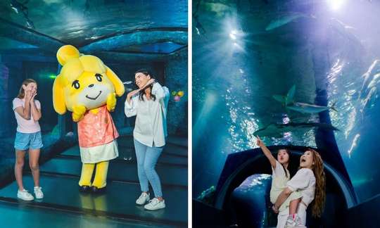 SEA LIFE Melbourne Aquarium Entry Tickets