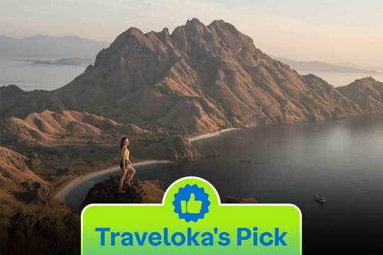 Full Day Trip Komodo - 1 Day Tour