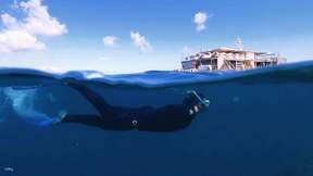 Great Barrier Reef Adventure by Cruise Whitsundays | Queensland