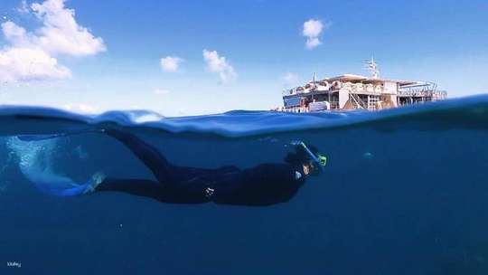 Great Barrier Reef Adventure by Cruise Whitsundays | Queensland
