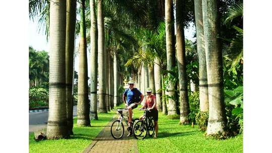 Roving Malang's Marvel on bicycle - (Starting from Hotel Tugu Malang), 917.713 VND