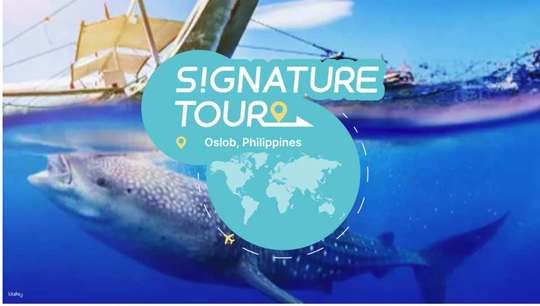 Oslob Whale Shark Snorkeling and Kawasan Falls Canyoneering Day Tour | Cebu, Philippines