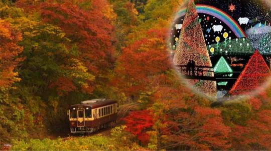 A day trip to see autumn leaves near Tokyo | Watarase Valley Railway, Takatsudo Gorge, Ashikaga Flower Park Illumination Show | Departure from Tokyo city center