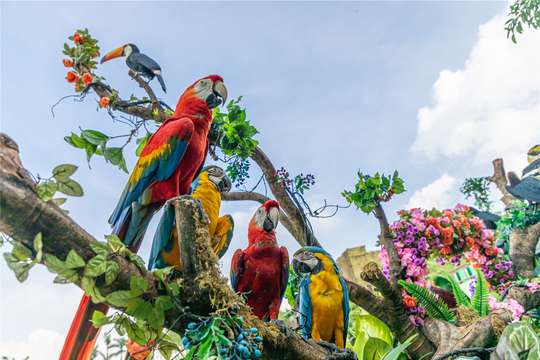 Guangzhou Chimelong :Bird Paradise trip