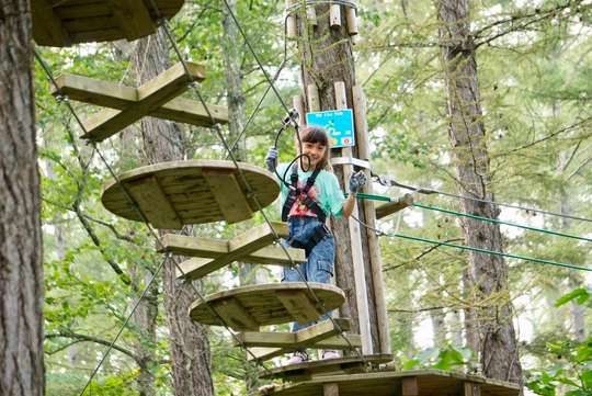 Forest Aerial Zipline in Nagano Tickets, 494.761 VND