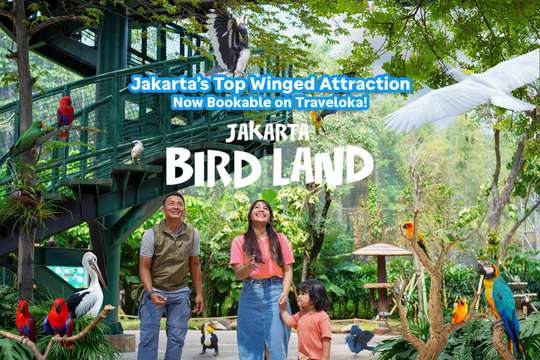Jakarta Bird Land Ancol, Rp 60.000