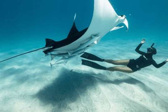 Manta Point Snorkeling & West Island Tour by Angkasa Travel, 121,120원