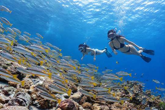 Phuket: Racha Islands Snorkeling Tour — 3 Sites by Private Yacht | Full Day, 2.251.626 VND