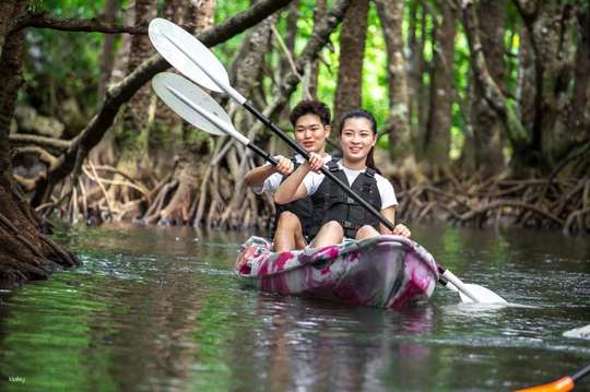 Canoe or SUP Experience in Natural Monument Mangrove Forests - Includes Southern Hotel Pick-up & Free Photo Data (Ishigaki Island, Okinawa)