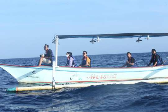 Paket Dolphin Tour Lovina, RM 108