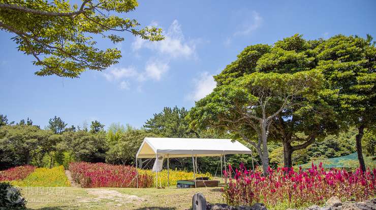 済州民俗村博物館 2