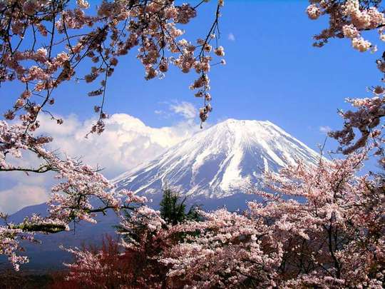 Tokyo Private Day Tour: Mt. Fuji, Hakone, Kamakura & Downtown Tokyo | Japan