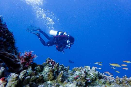 Scuba Diving Non License DSD Try Scuba - TULAMBEN