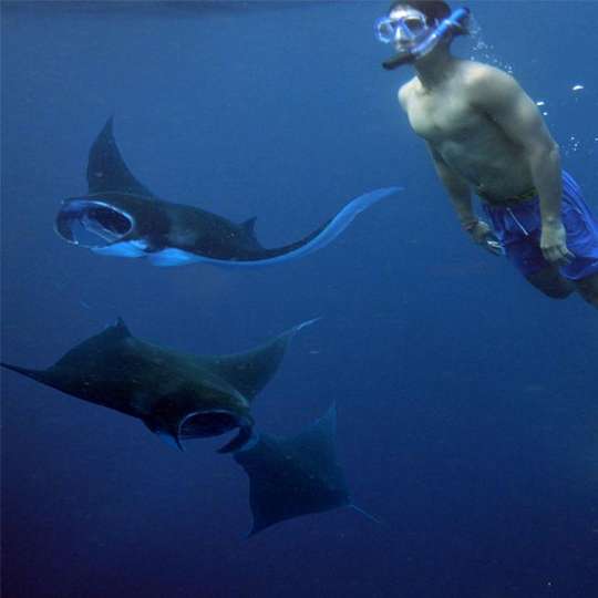 Day Tour West Nusa Penida & Snorkeling To 4 Spots By Ticket Penida, THB 392.90
