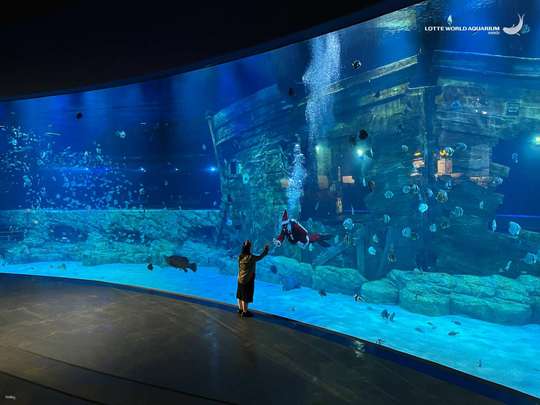 Tiket Lotte World Aquarium | Hanoi, Rp 309.466