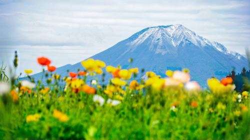 Japan Mt. Fuji 5th Station Climbing Experience, Strolling through Oshino Hakkai, and Hot Spring Experience Healing one-day tour