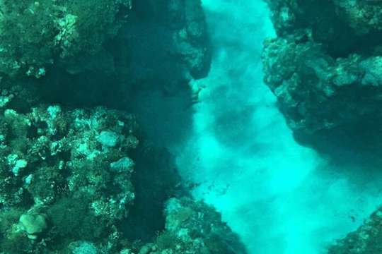 Glass Bottom Boat Ride in Trincomalee