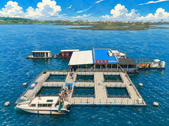 Penghu | Ocean Ranch Experience & Fun Sea Fishing | All-You-Can-Eat Fresh Oysters Direct from the Source | Starlight Ocean Ranch (Official Direct Operation)