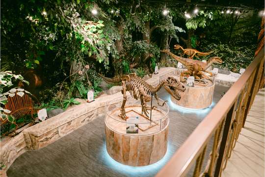 Funtasia by Minitopia (Playground & Children Museum), AU$10