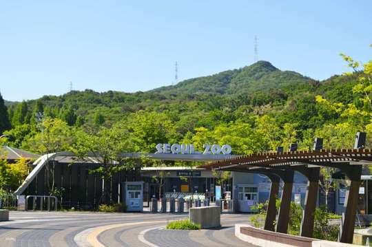 Seoul Grand Park Combo Ticket | Zoo Admission & Sky Lift