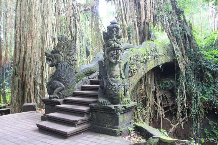 Monkey Forest Ubud Tickets 3