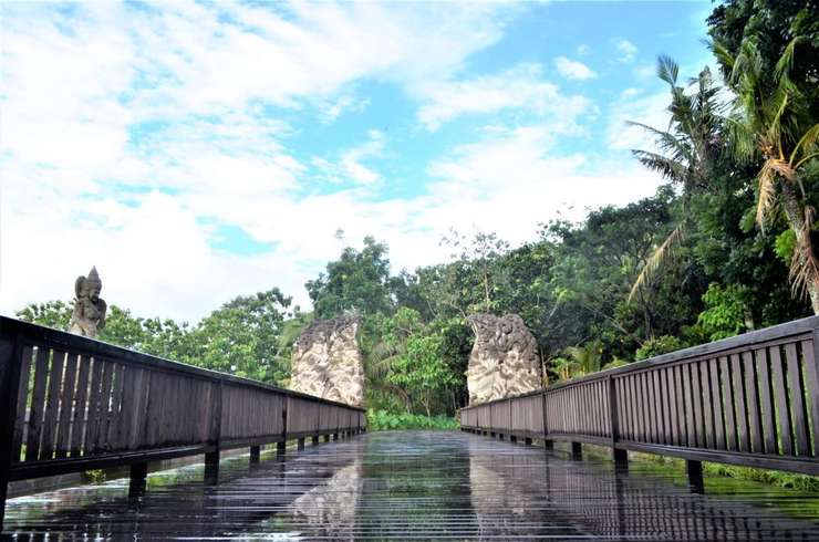 Monkey Forest Ubud Tickets 2