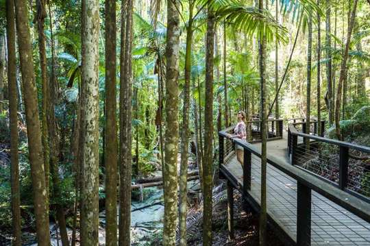[Hervey Bay Departure] Fraser Island 3 Day 2 Night Tour | Australia