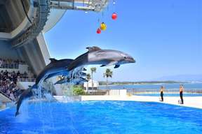 Marine World Uminonakamichi Aquarium Ticket Fukuoka