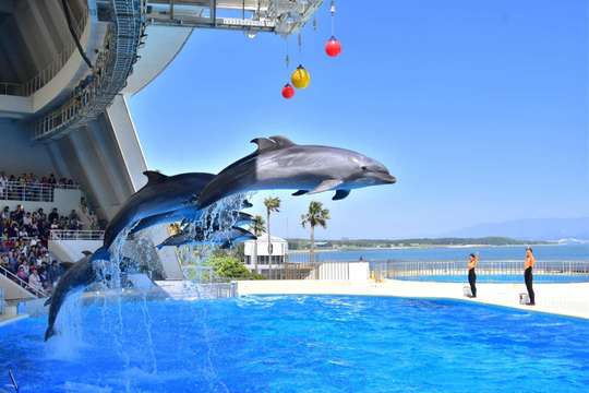 Marine World Uminonakamichi Aquarium Ticket Fukuoka