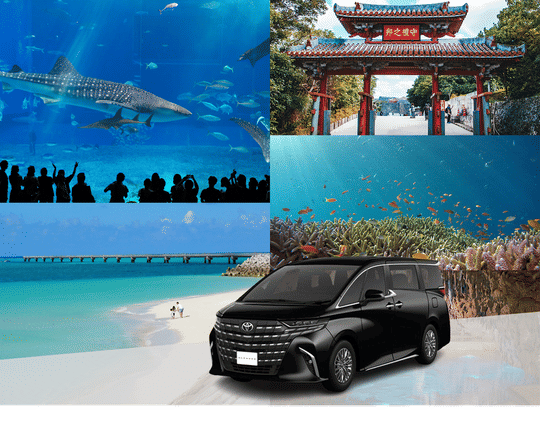 Okinawa Main Island Private Charter