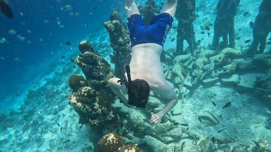 Privat Snorkeling 3 Gili (Gili Air, Gili Meno, Gili Trawangan), S$107