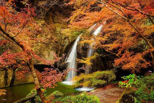 Ibaraki Day Tour from Ginza: Fukuroda Falls, Tsukimachi Waterfall & Hananuki Gorge