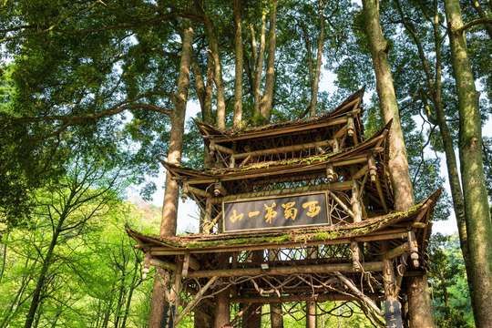 Chengdu: Mount Qingcheng (Front Mountain) Admission Ticket, THB 537.39