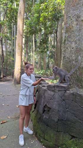 Sangeh Monkey Forest 1