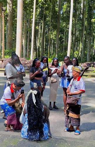 Sangeh Monkey Forest 3