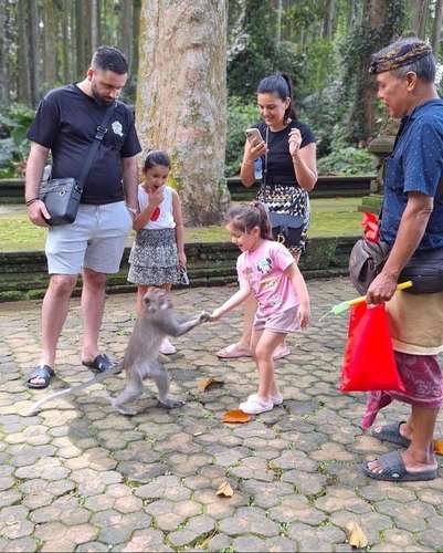 Sangeh Monkey Forest 1